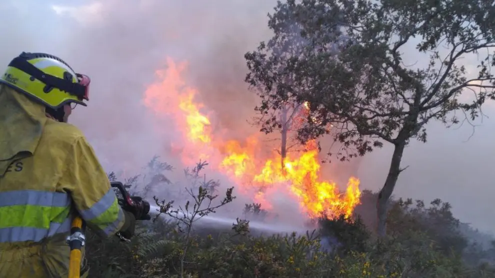 Incendio forestal