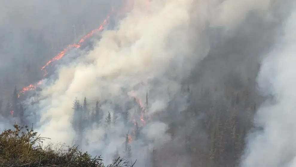 Incendio forestal en Cantabria