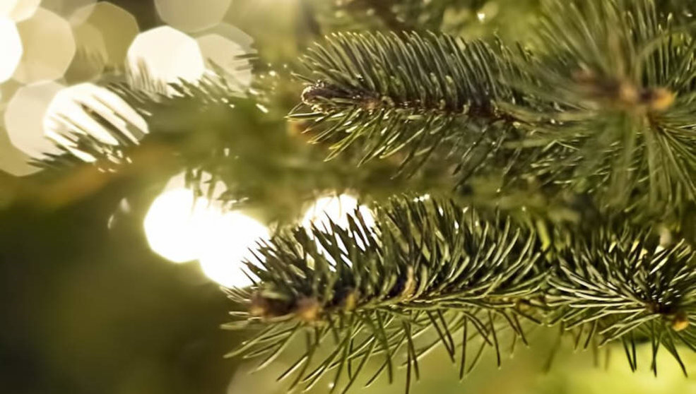 Árbol de Navidad