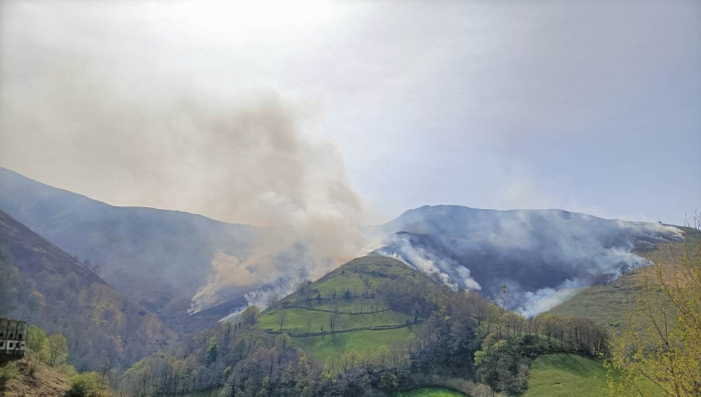 Incendio forestal