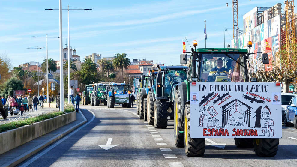 Varios tractores circulan por una carretera en una manifestación de profesionales de la ganadería