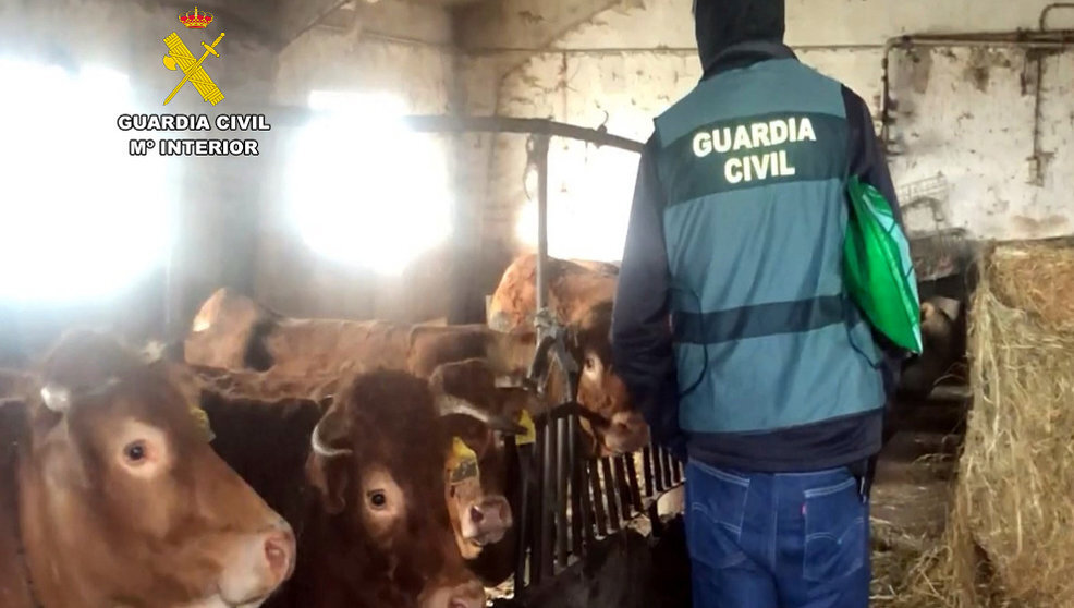 La Guardia Civil en una cabaña de Miera