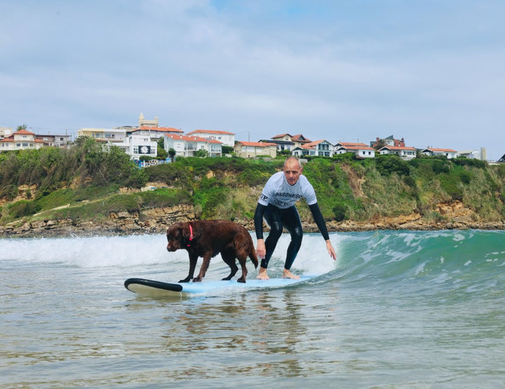 Hombre y un perro practicando el surf