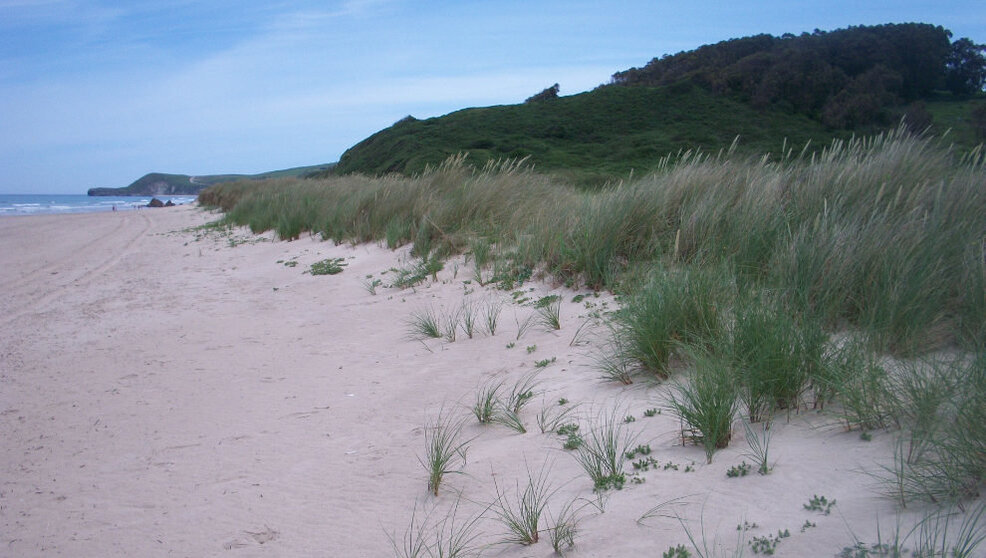 Playa de Merón