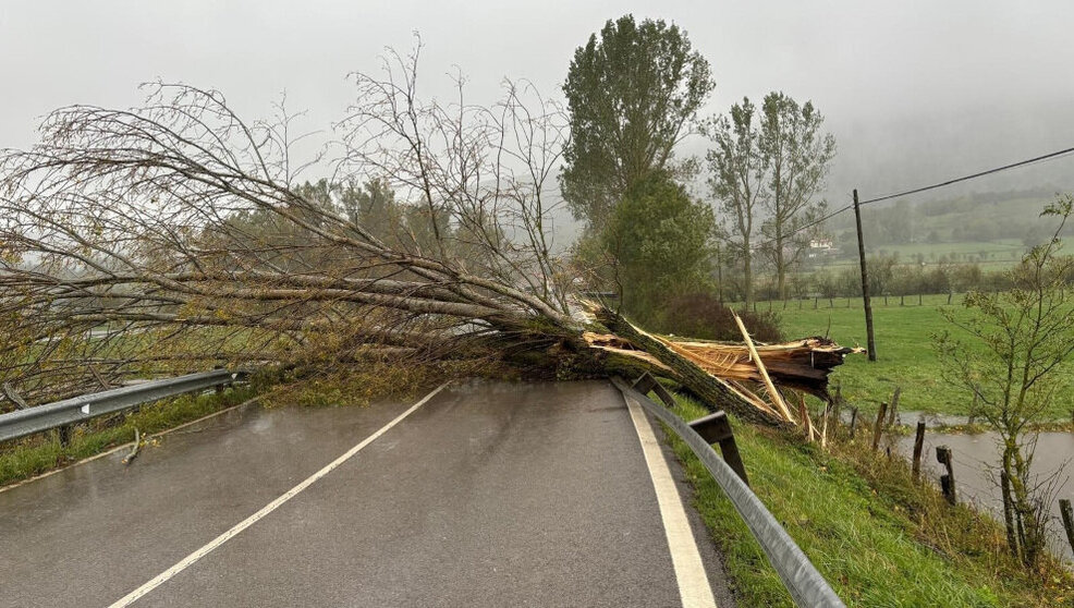 El 112 de Cantabria recibe 628 llamadas y gestiona 306 incidencias provocadas por el viento en la jornada de hoy - 112 CANTABRIA