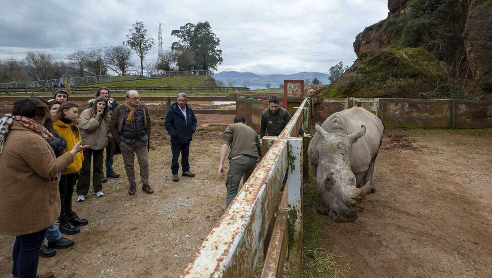 Ante la llegada de un nuevo ejemplar de rinoceronte blanco, la Fundación Franz Weber cuestiona la seguridad de Cabárceno | Foto- Archivo