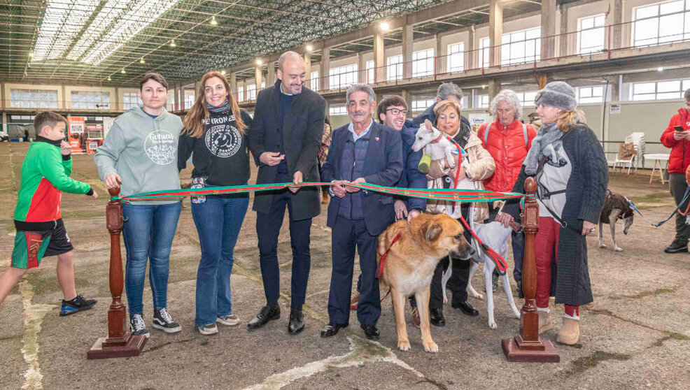 La iniciativa legislativa popular 'No es mi cultura' gana el I Premio de Bienestar Animal Ciudad de Torrelavega