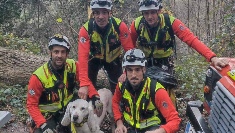 Bomberos rescatan a un perro enriscado en un monte en Camaleño