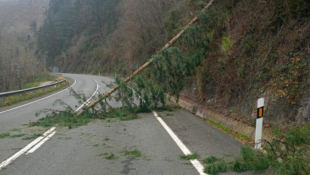 Árbol sobre una carretera por el fuerte viento en Cantabria