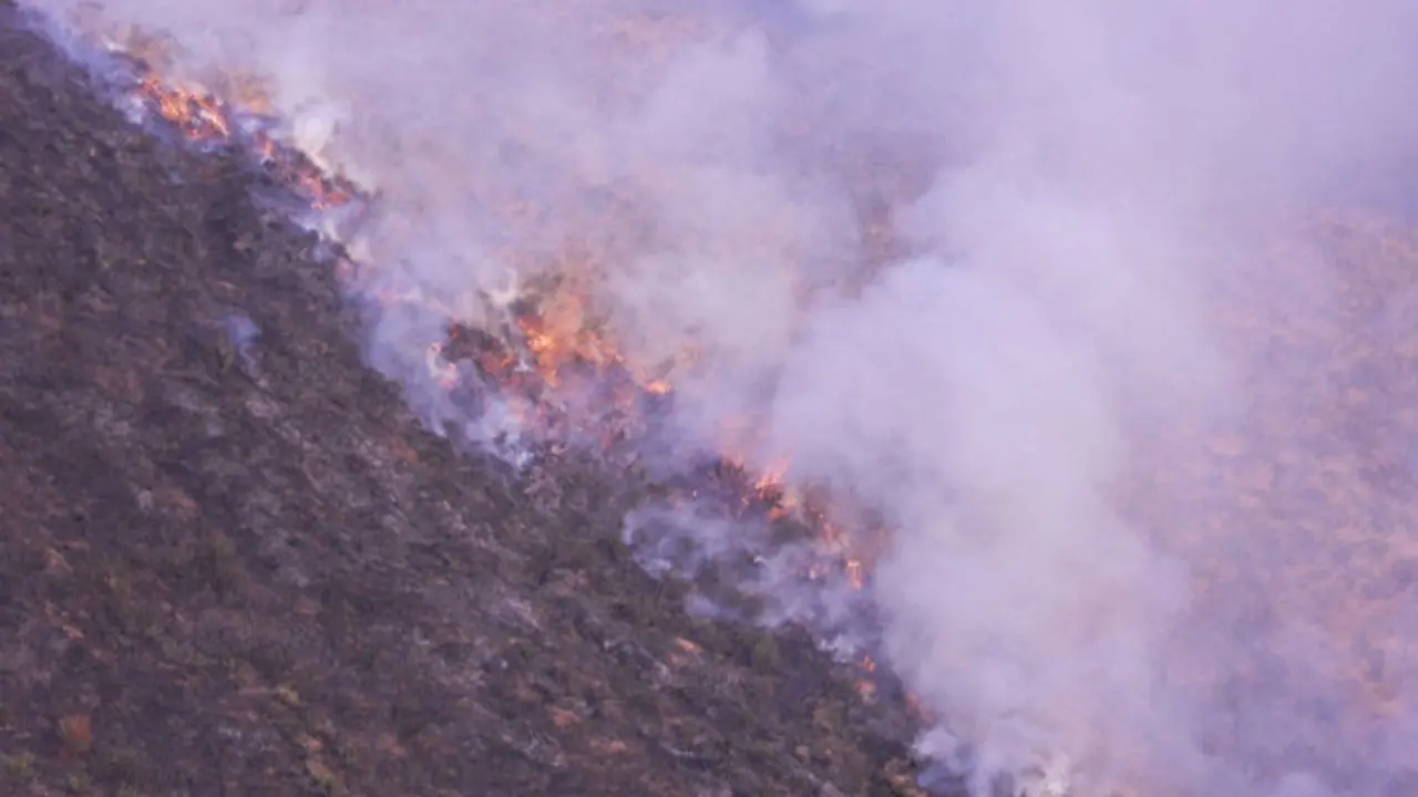 Imágenes del incendio