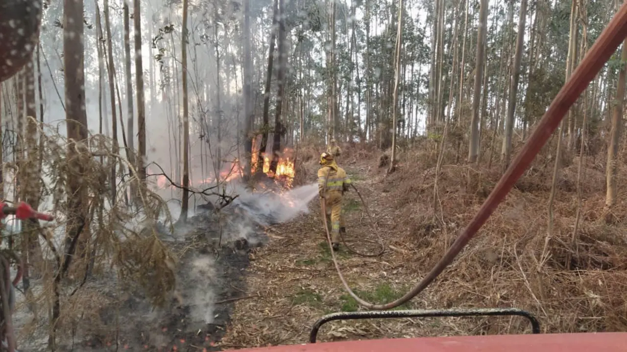 Un bombero extingue un incendio forestal en Cantabria