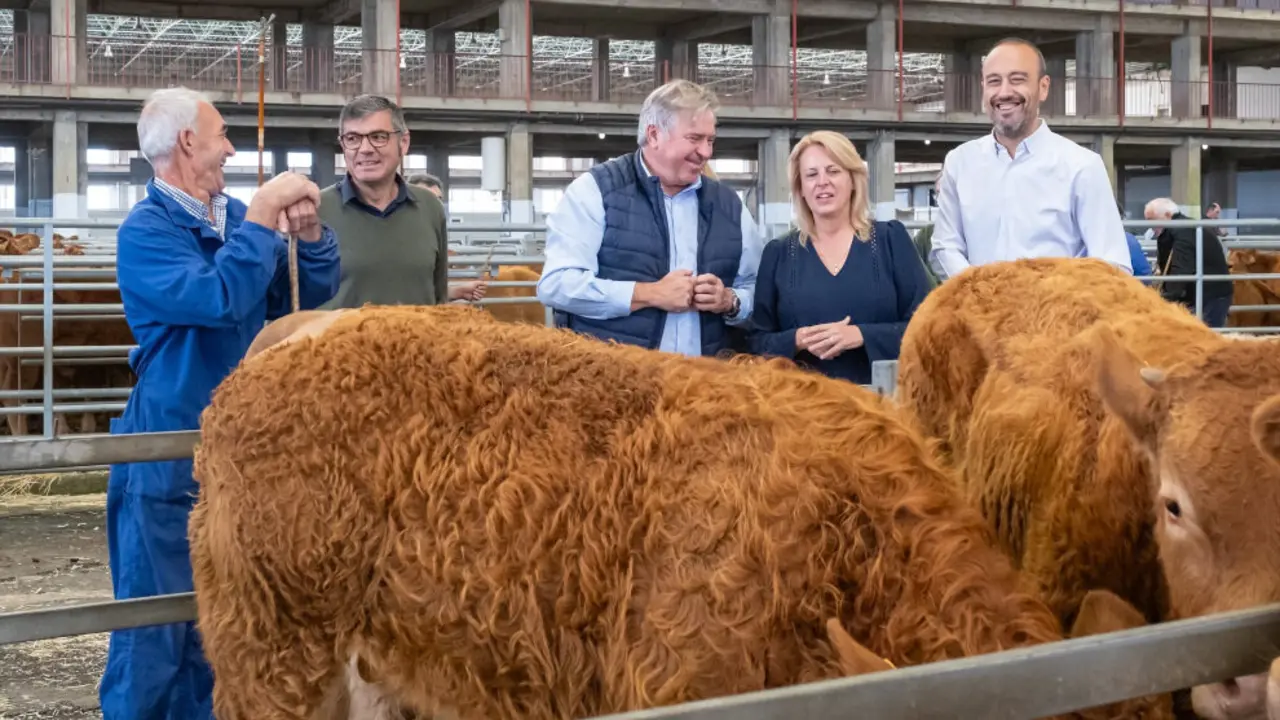 La consejera de Desarrollo Rural, Ganadería, Pesca y Alimentación, María Jesús Susinos, visita el Mercado Nacional de Ganados