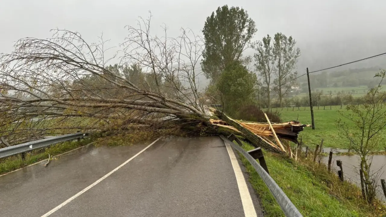 El 112 de Cantabria recibe 628 llamadas y gestiona 306 incidencias provocadas por el viento en la jornada de hoy - 112 CANTABRIA