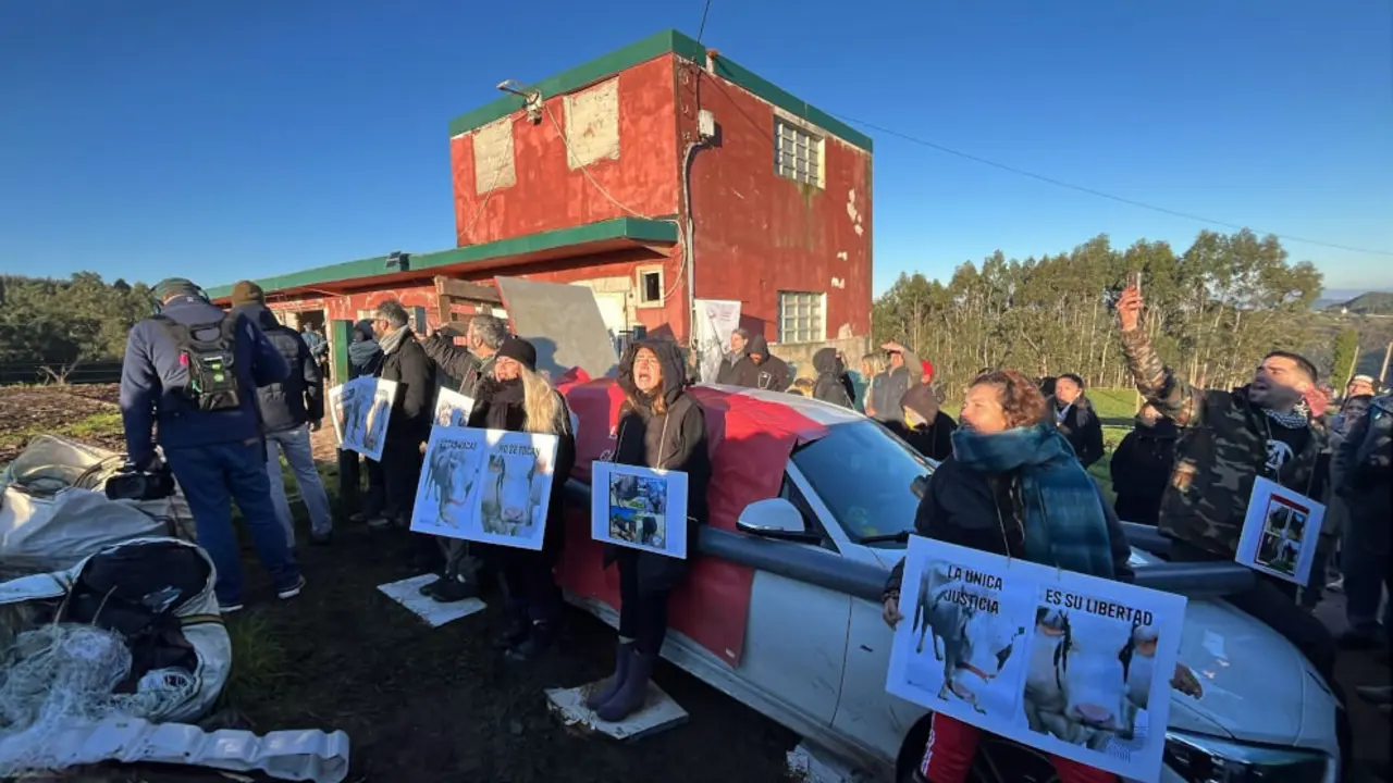 La protesta de más de 100 personas evita por el momento la devolución de las cinco vacas maltratadas a su dueño